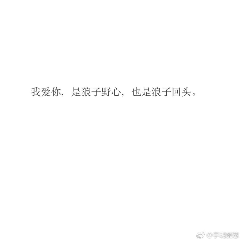 从《二哈和他的白猫师尊》到爱蔻 情感的镜像与文化的共情