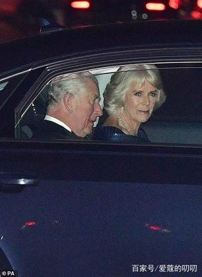 十三载守候终获一字肯定 卡米拉的王室认可之路